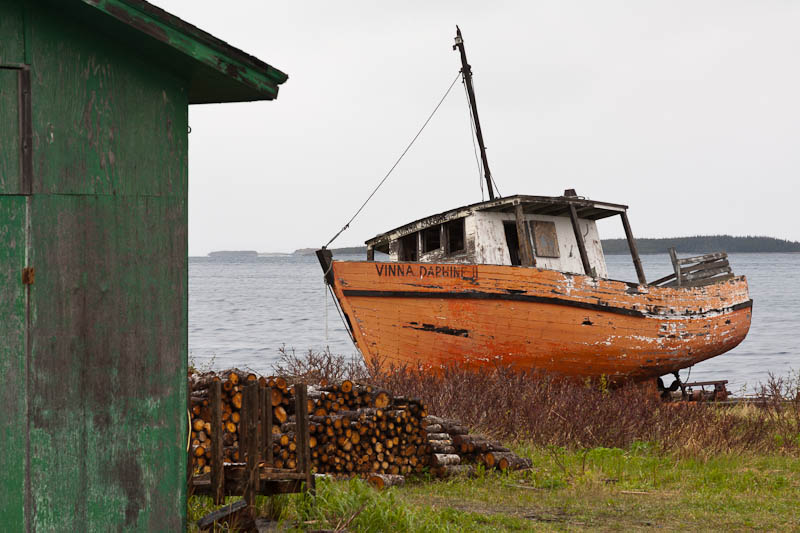 Newfoundland No-0997.jpg